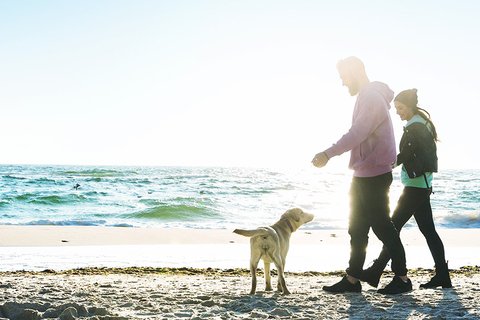 Two people walking a dog along a sunny beach